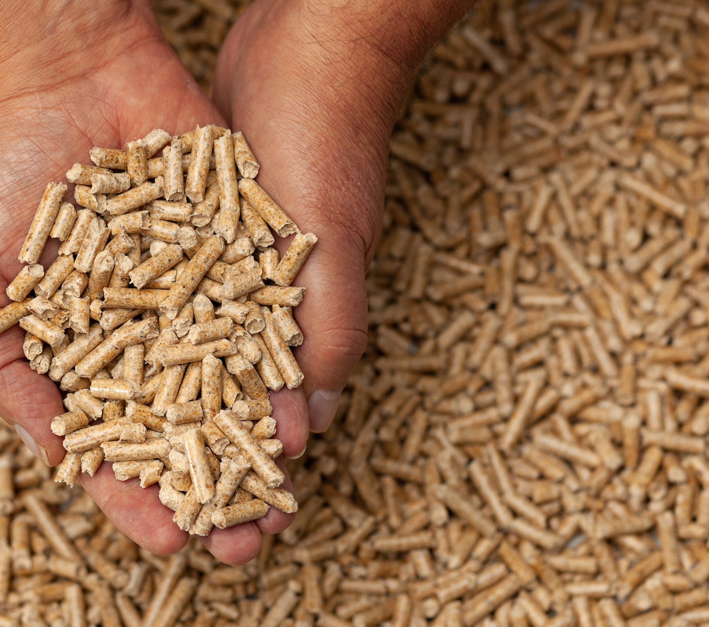 Co to jest pelet, pellet?