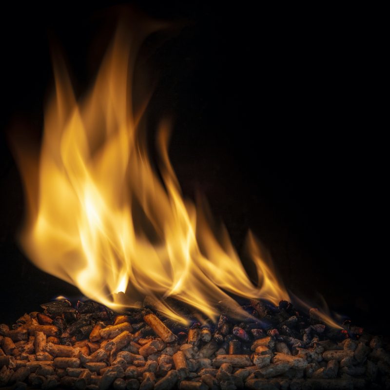 pelet-skup-trocin-skup-trocin-liberopelet